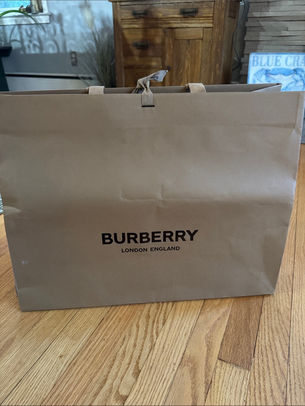 Burberry shopping bag and receipt